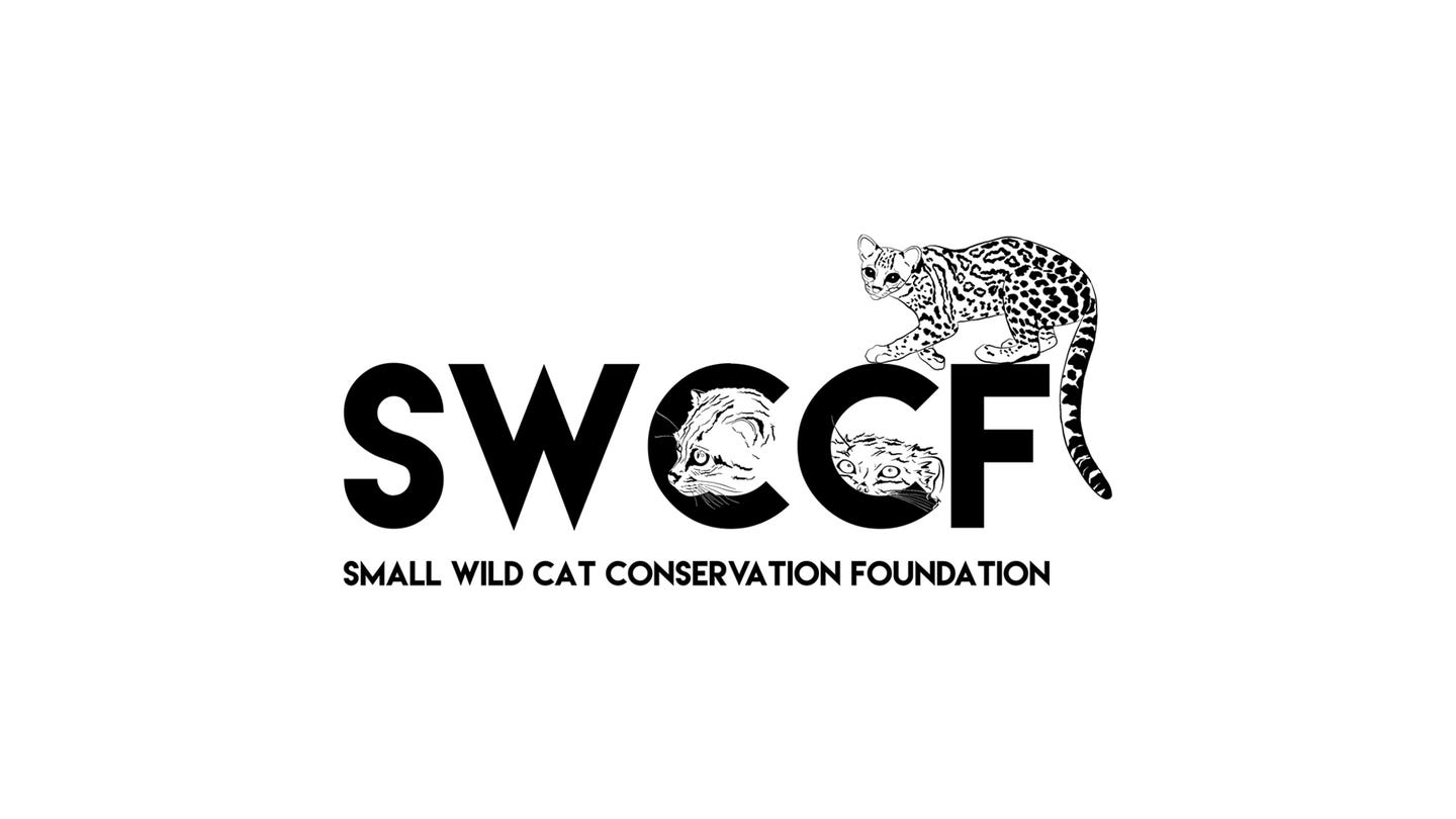 Small Wild Cat Conservation Foundation