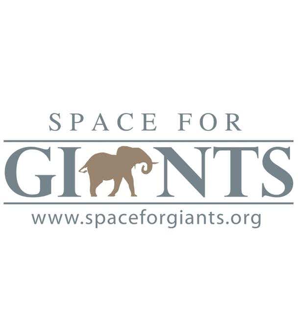 Space for Giants