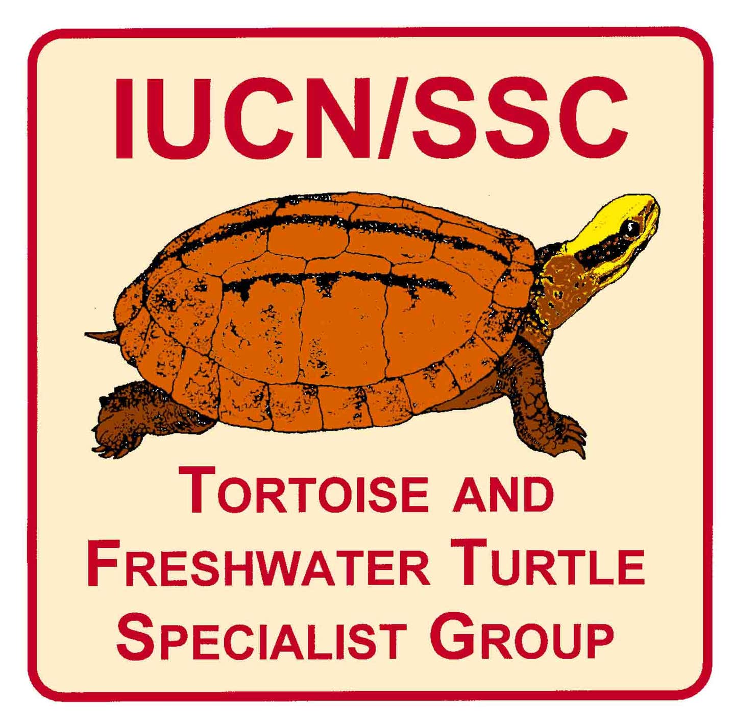 IUCN SSC Tortoise and Freshwater Turtle Specialist Group