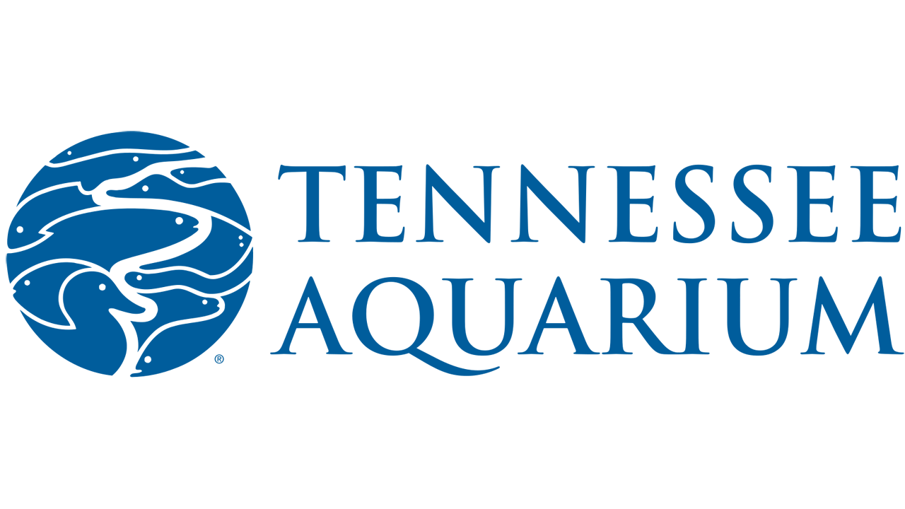 Tennessee Aquarium