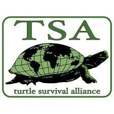 Turtle Survival Alliance