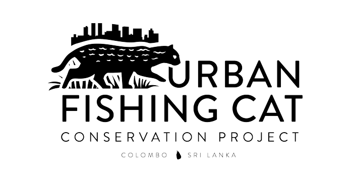 Urban Fishing Cat Project