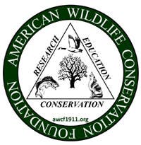 Foundation for Wildlife Conservation