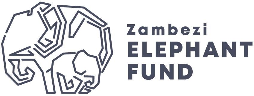Zambezi Elephant Fund