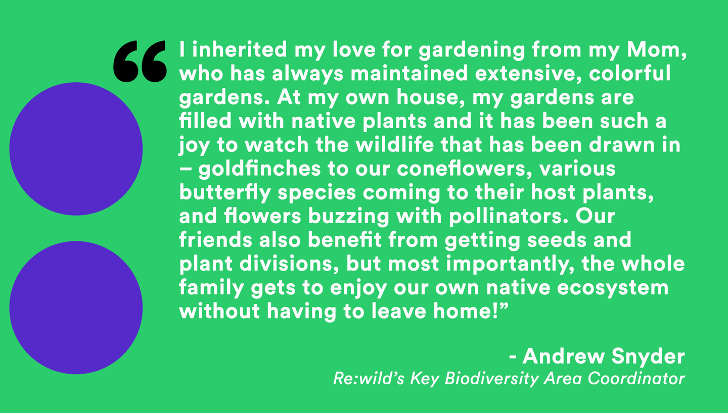 andrewquote