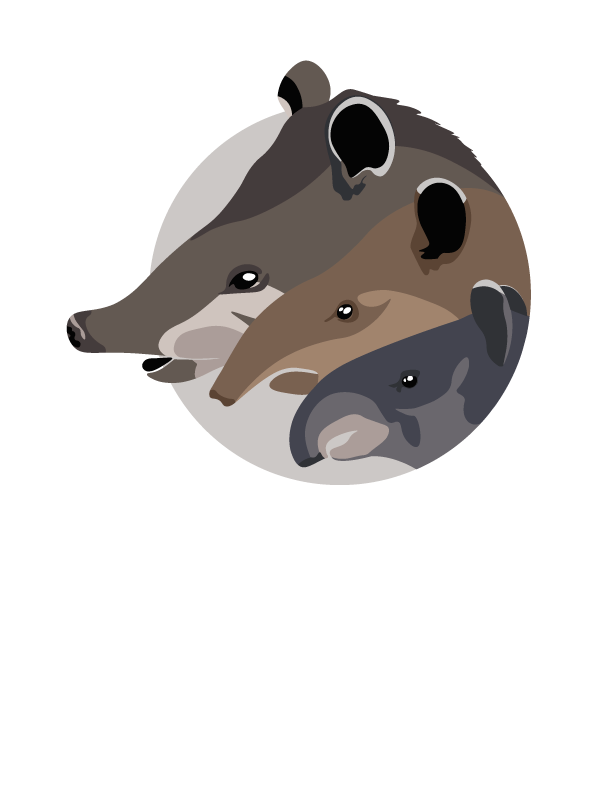 CTC logo