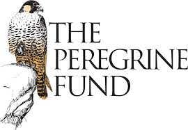 Peregrine Fund