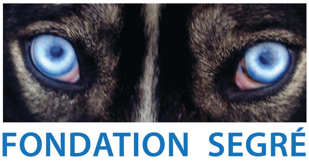 Fondation Segre