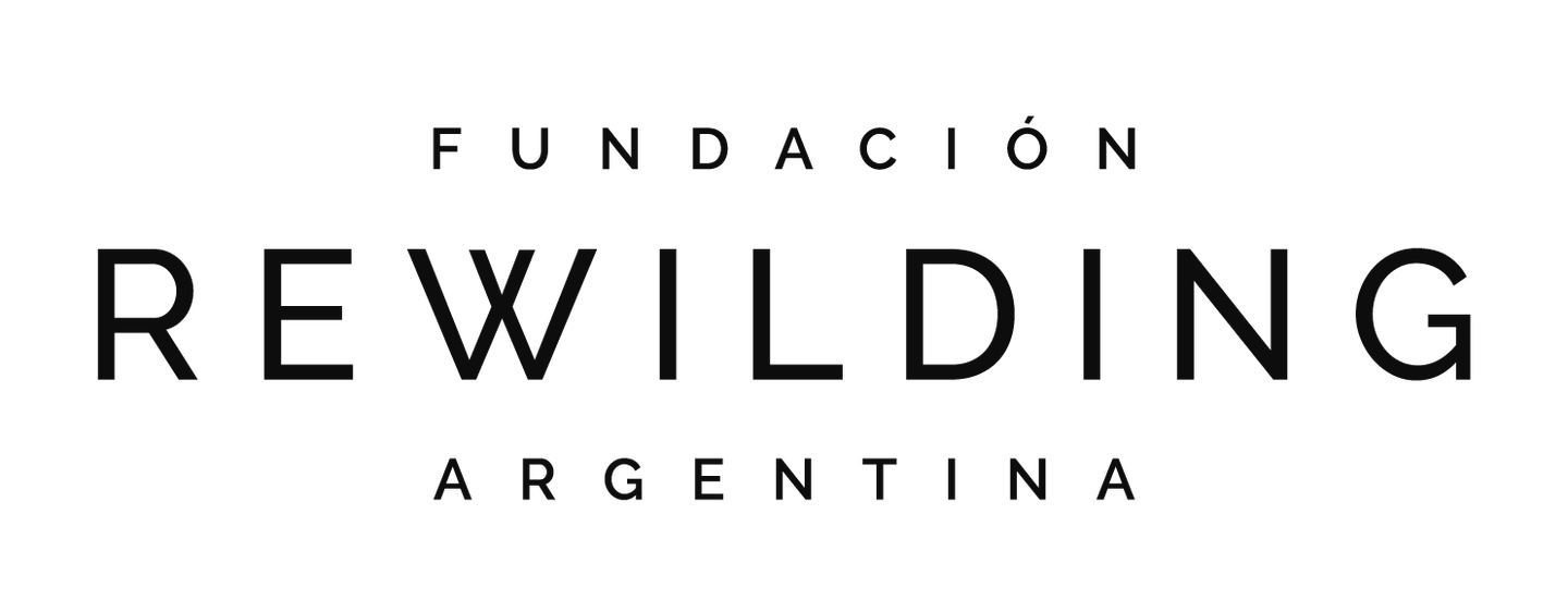 Rewilding Argentina