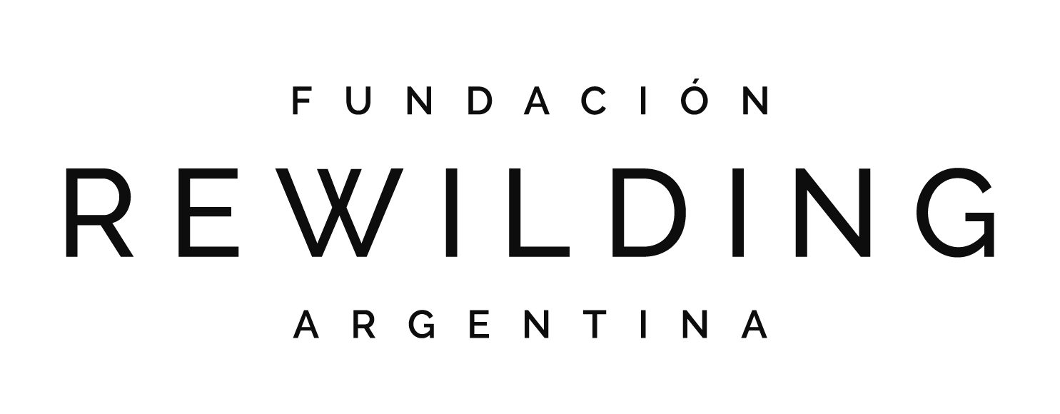 Rewilding Argentina