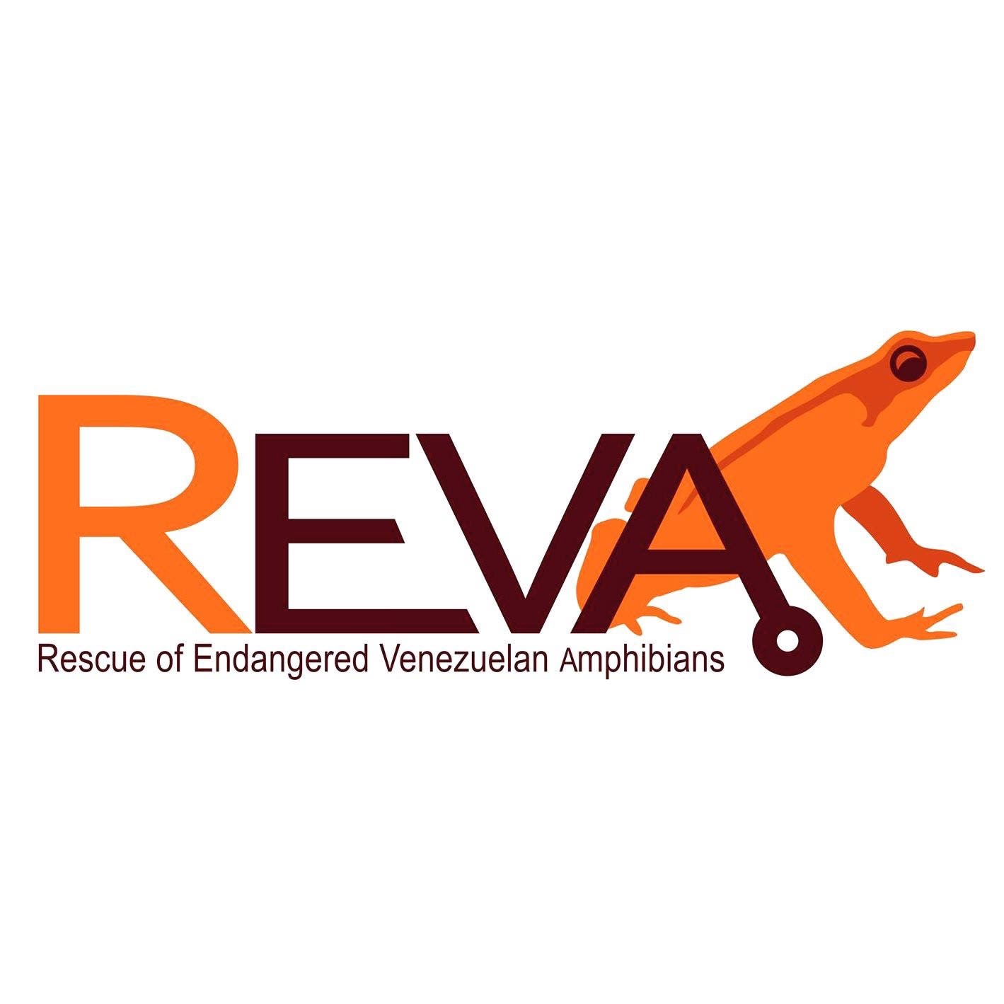 Rescue of Endangered Venezuelan Amphibians 
