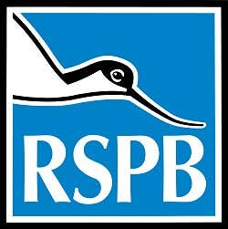 Royal Society for Protection of Birds