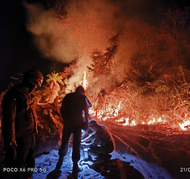 forest fire