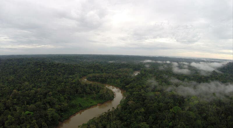 Ecuadorian Amazon forest