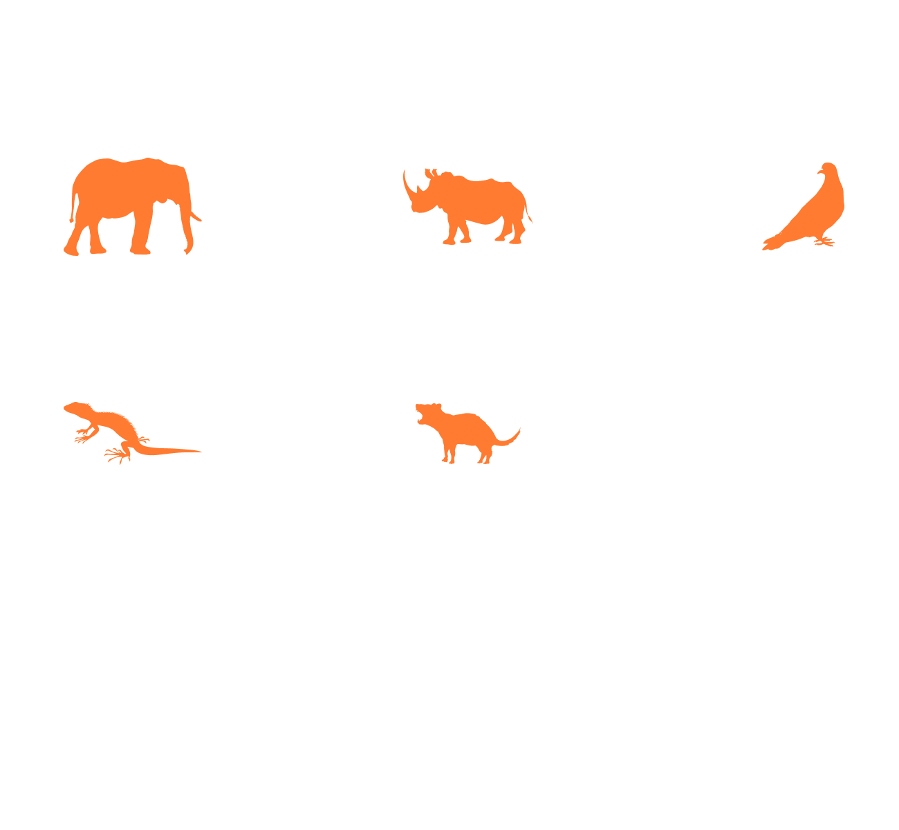 illustrations of asian and african elephants, northern white and sumatran rhinos, pink pigeons, victorian grassland earless dragons, tasmanian devils