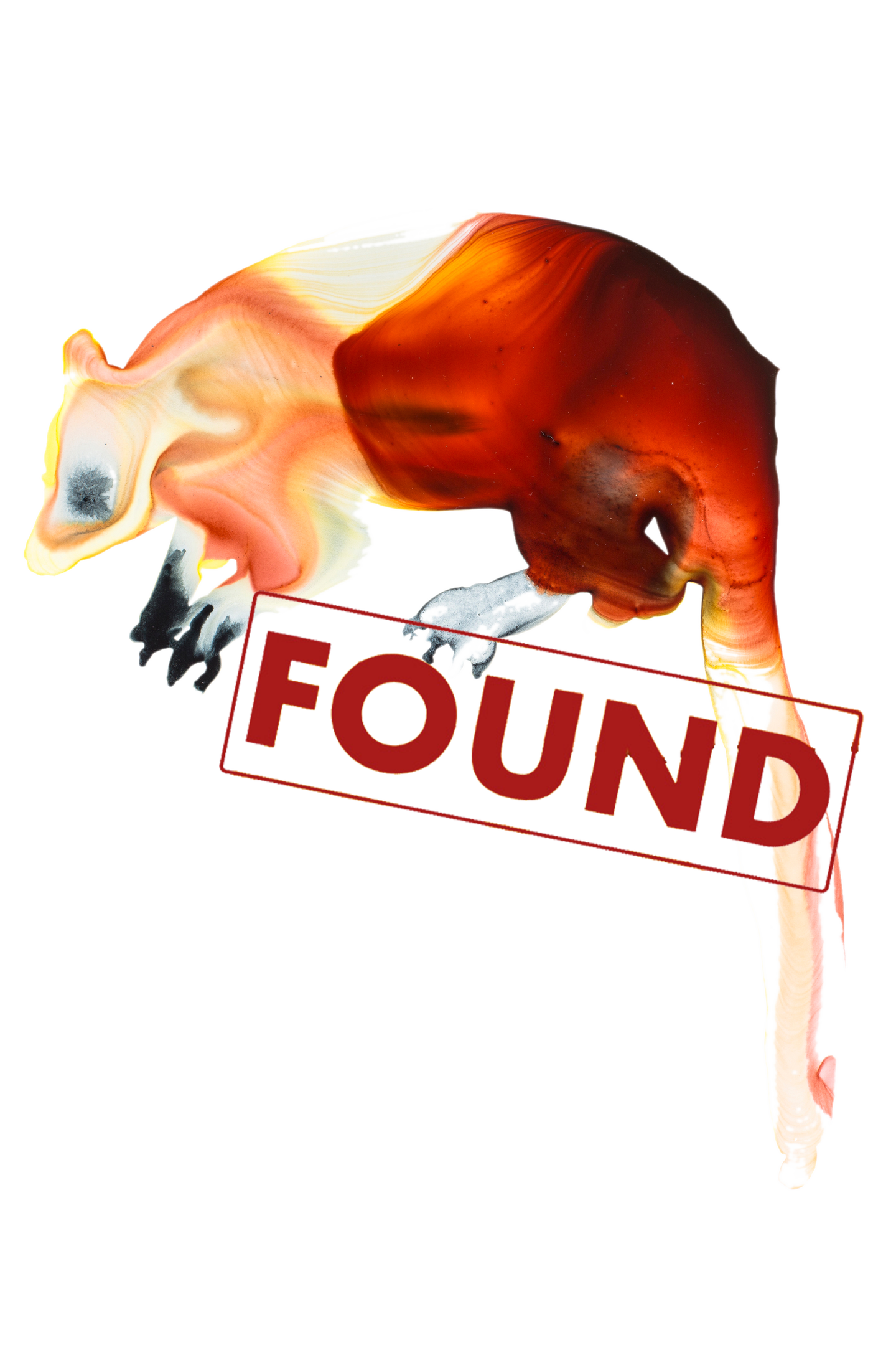 wondiwoi-found