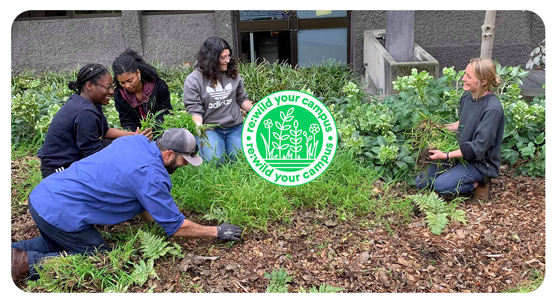 college students planting a garden with the rewild your campus logo
