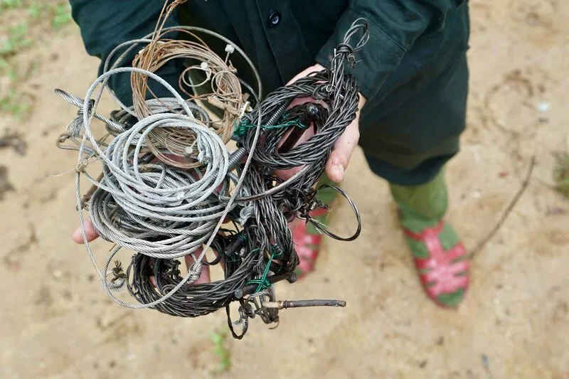 person holding lots of wires