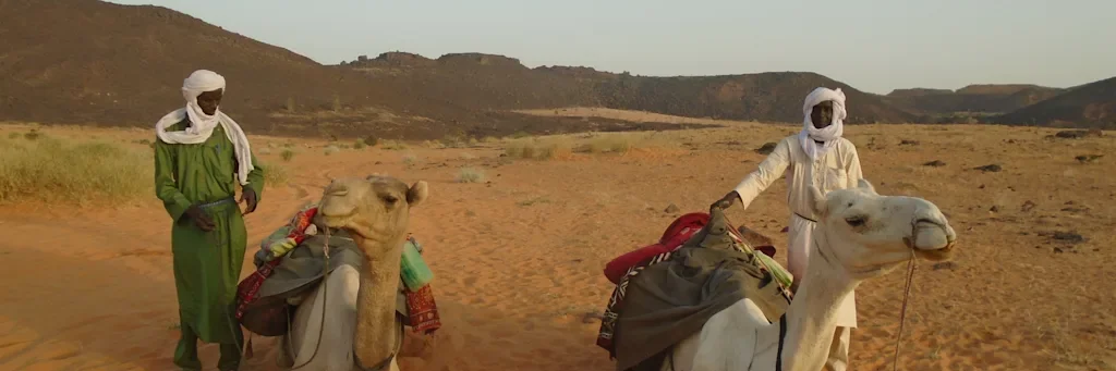 people and camels in a desert landscape