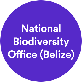 National Biodiversity Office (Belize)