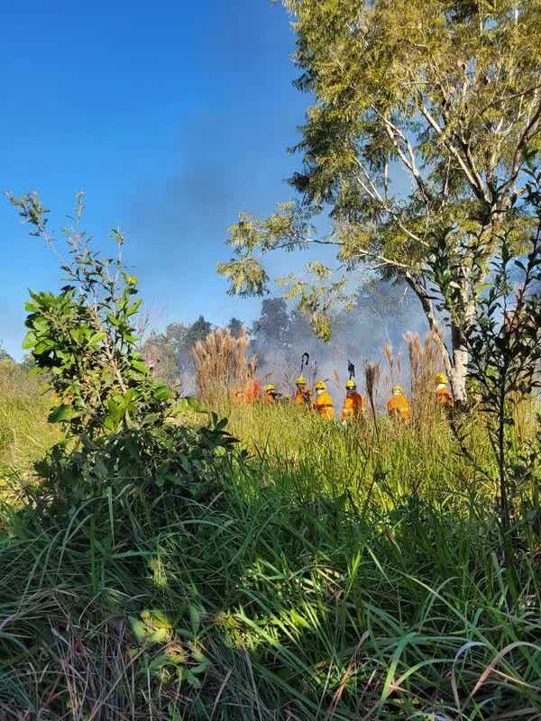 wildfire