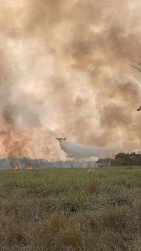 wildfire