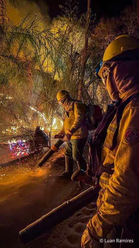 fire brigade