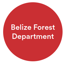 Belize Forest Department