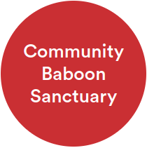 Community Baboon Sanctuary