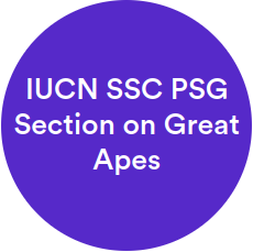 IUCN SSC PSG Section on Great Apes