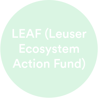 Leuser Ecosystem Action Fund