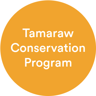 Tamaraw Conservation Program