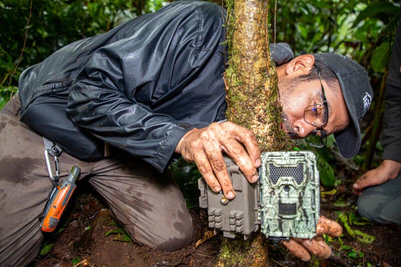 person using research device in forest