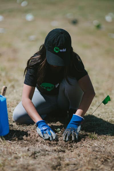 person planting