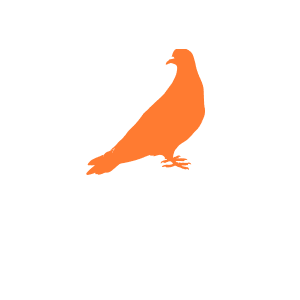 Pink Pigeons