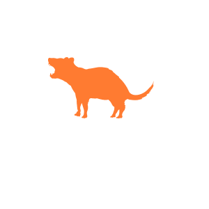 Tasmanian Devils