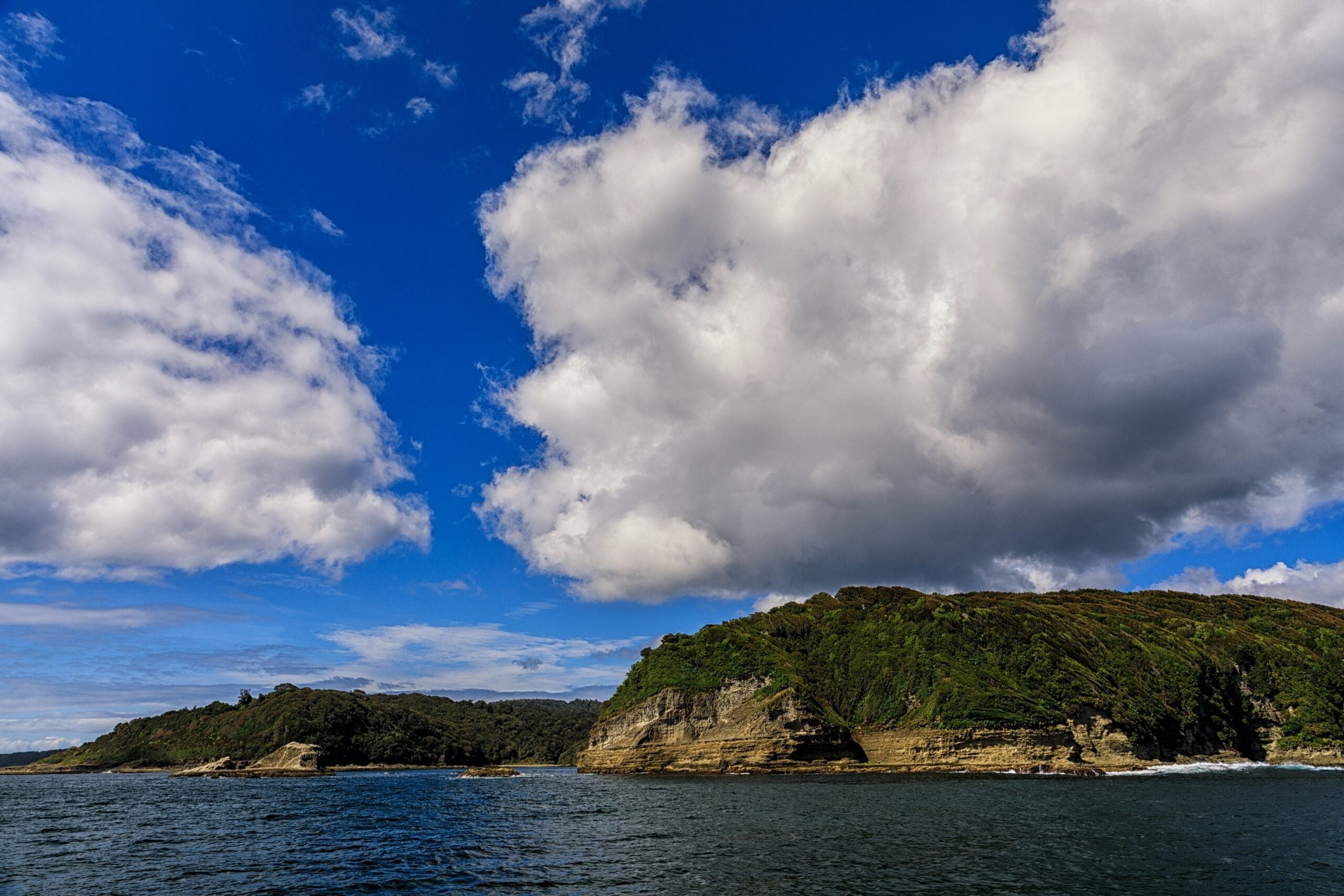 Chile’s Guafo Island is a Key Biodiversity Area, critical to the global persistence of biodiversity and the planet’s overall health. (Photo by Evelyn Pfeiffer, WWF Chile)