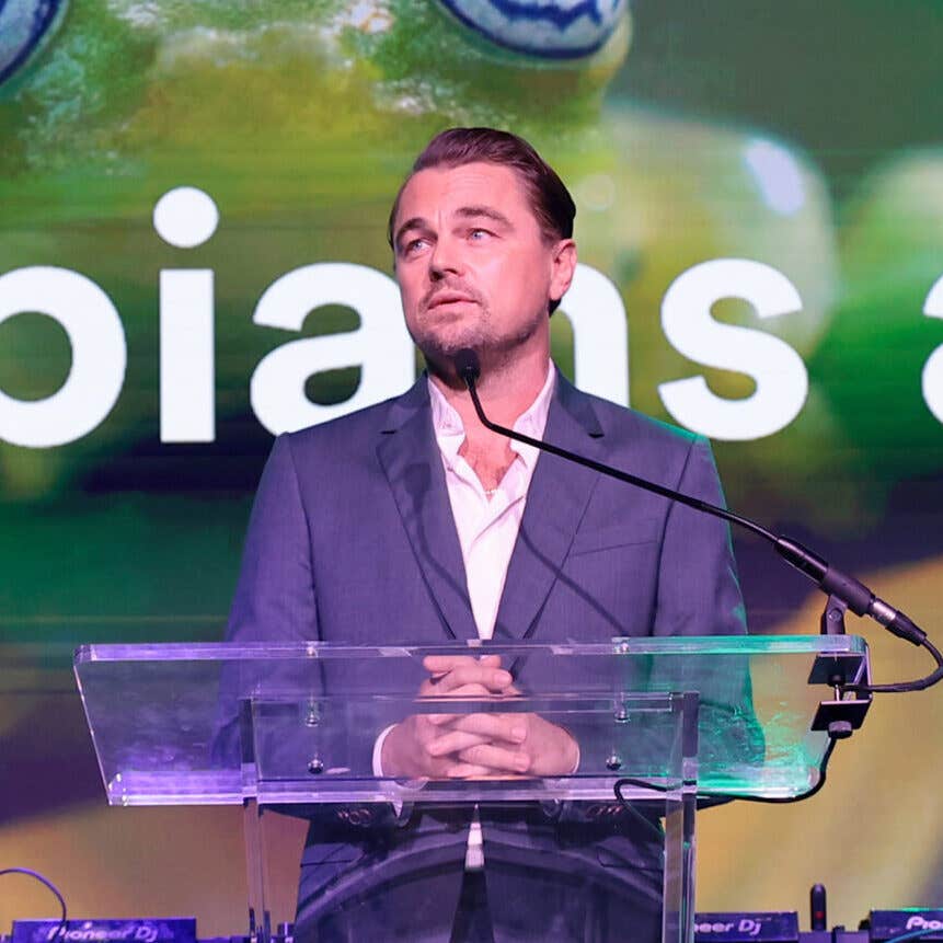 Leonardo DiCaprio