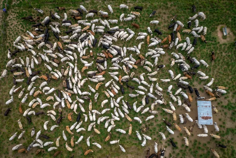Jonne Roriz/Bloomberg via Getty Images