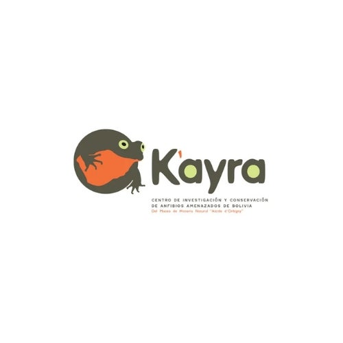 Kayra logo