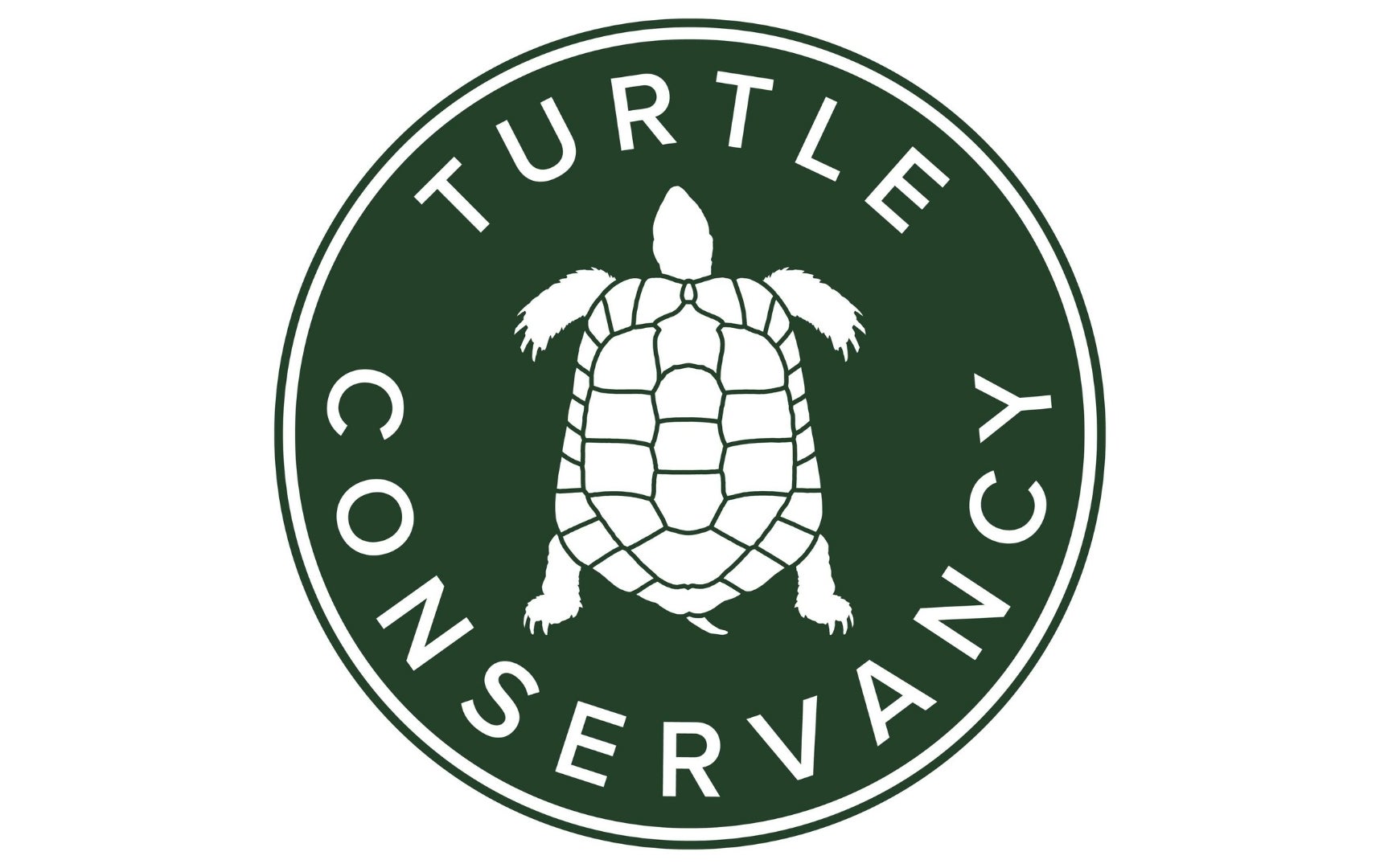 Lost Turtles | rewild.org | Re:wild