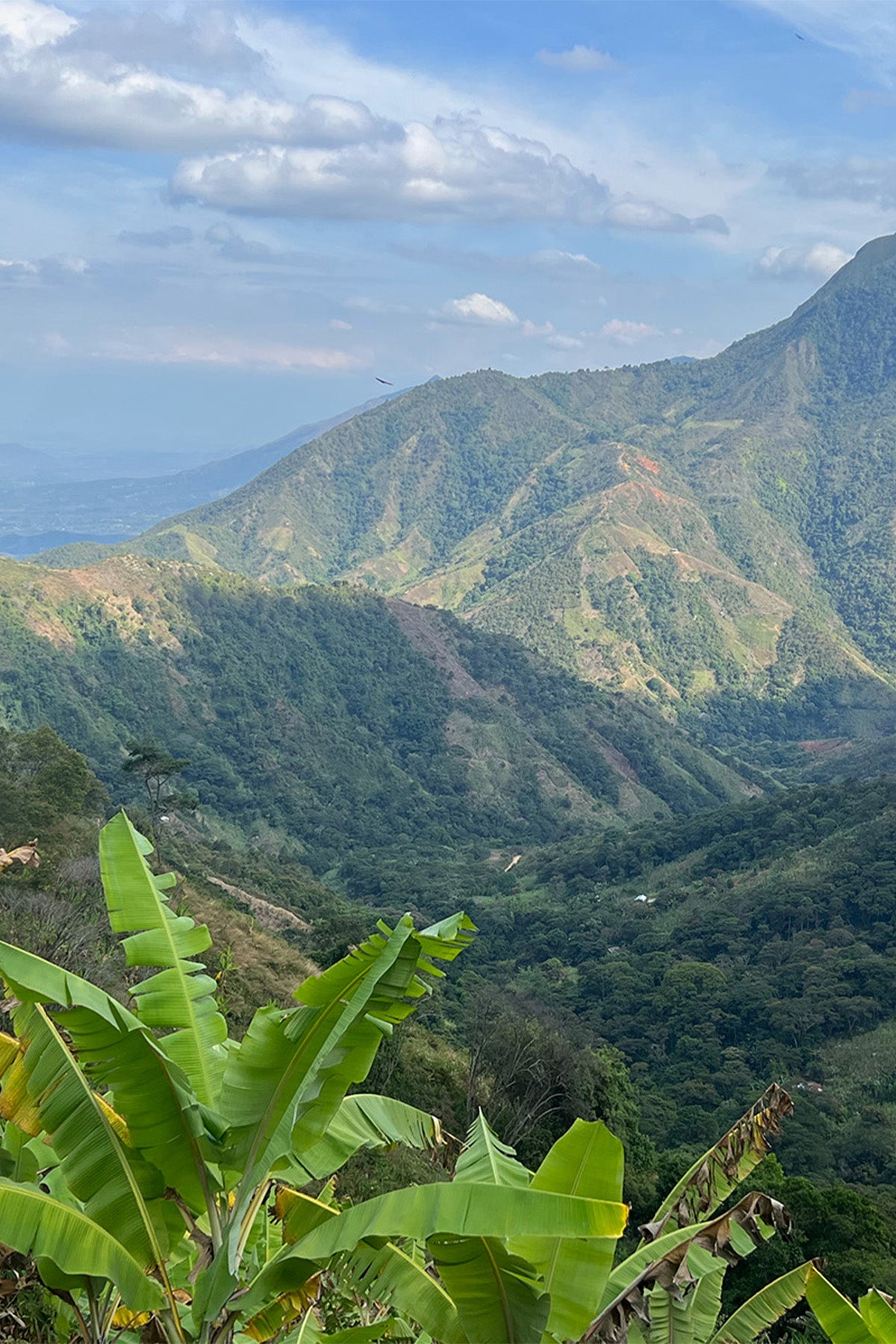 Catalyzing New Protected Areas 