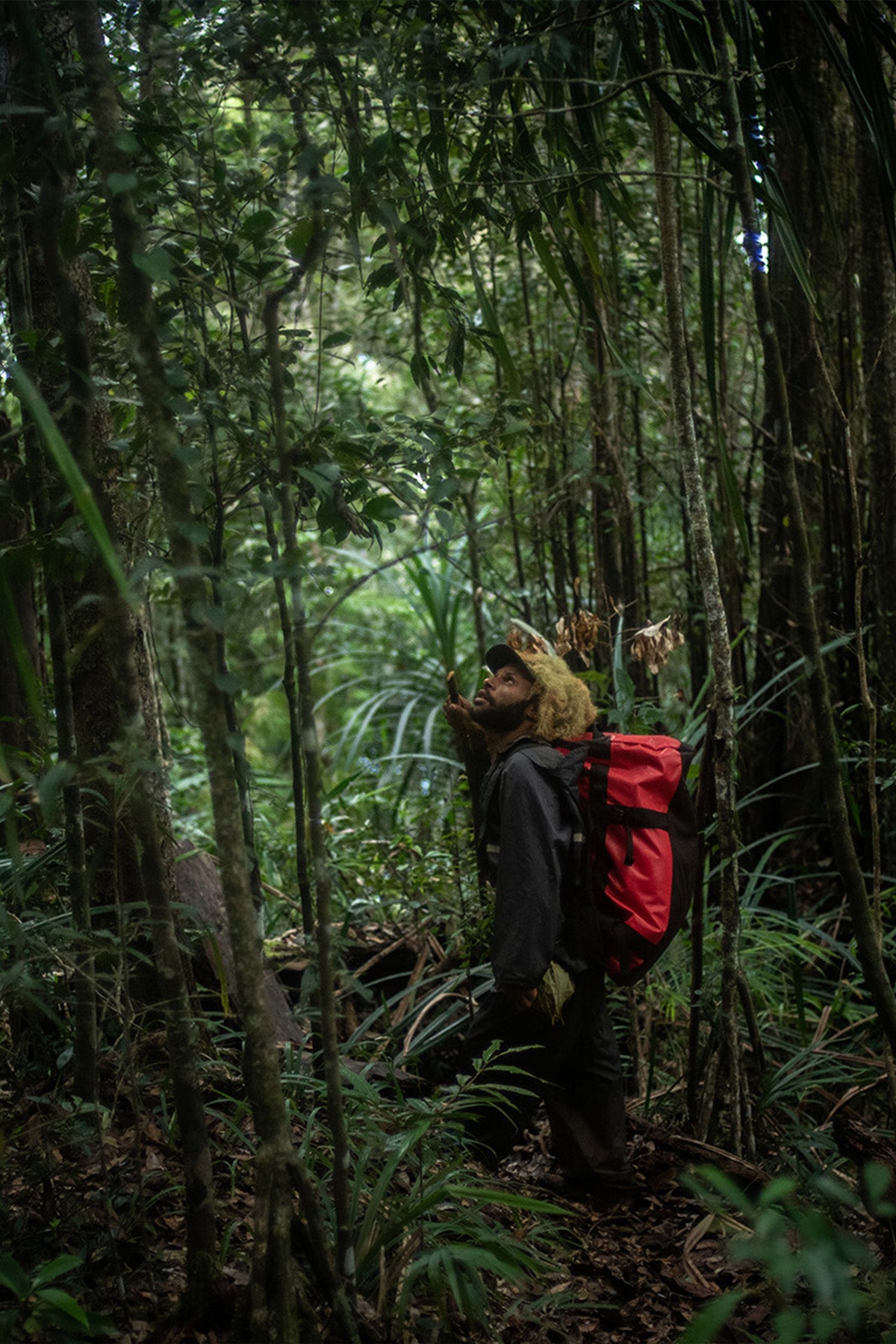 Expeditions into the Unexplored 