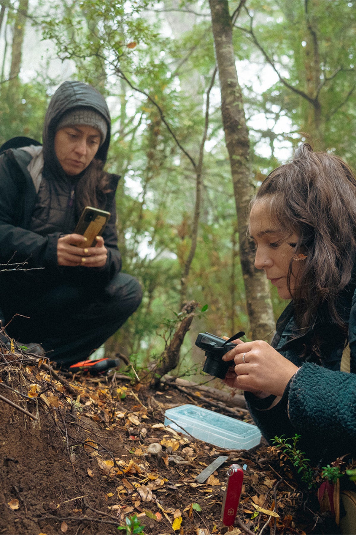The Search for Lost Species