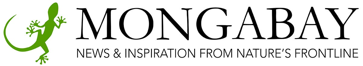 Mongabay